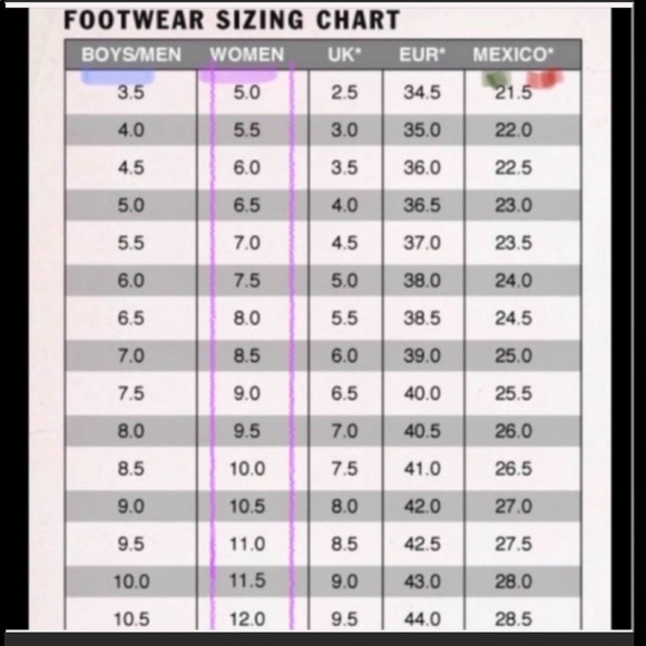 >💙SK8-Hi TOP CHOCOLATE (DARK BRONW) /WHITE WORLD’S #1 SKATEBOARD BRAND NEW VANS - Picture 7 of 14